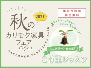 秋のカルチャー教室＆カリモク家具フェア